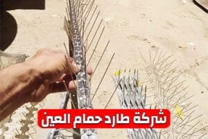 شركة طارد حمام العين