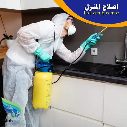 شركة مكافحة حشرات في الشارقة 0561510496 | خدمة 24 ساعة 4 شركة مكافحة الحشرات في الشارقة