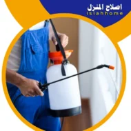 شركة مكافحة حشرات فى عجمان