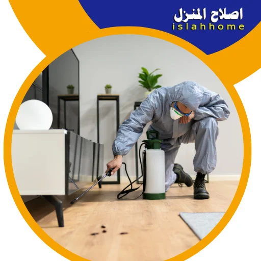 شركة مكافحة حشرات في الشارقة