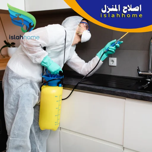 شركة مكافحة حشرات فى عجمان 5 مكافحة حشرات فى عجمان