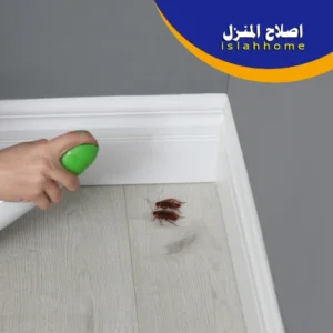 بلدية الشارقة